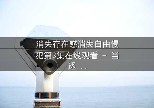 消失存在感消失自由侵犯第3集在线观看 - 当透明人开始反击时