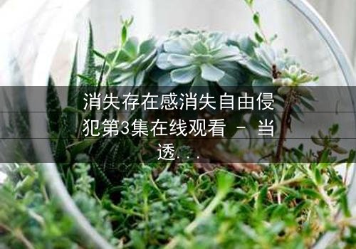 消失存在感消失自由侵犯第3集在线观看 - 当透明人开始反击时