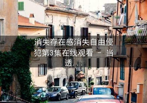 消失存在感消失自由侵犯第3集在线观看 - 当透明人开始复仇