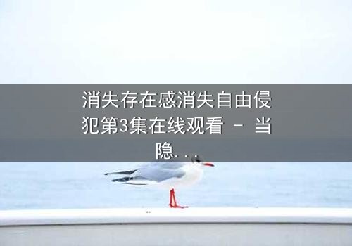 消失存在感消失自由侵犯第3集在线观看 - 当隐形成为最危险的武器