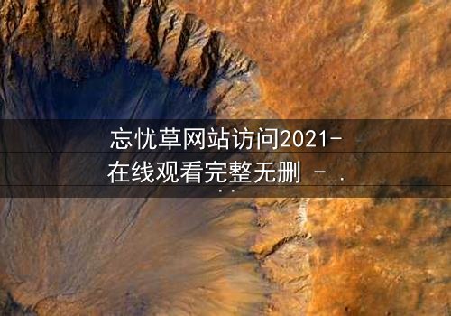 忘忧草网站访问2021-在线观看完整无删 - 当虚拟世界吞噬现实,谁将拯救迷失的灵魂?